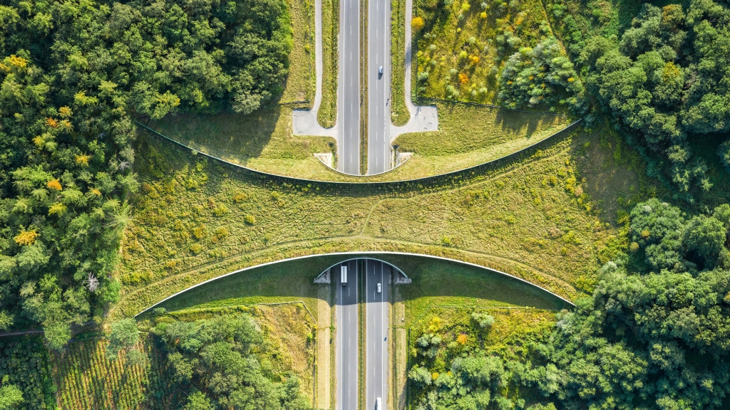 ecoduct AdobeStock_380649025 1.jpg