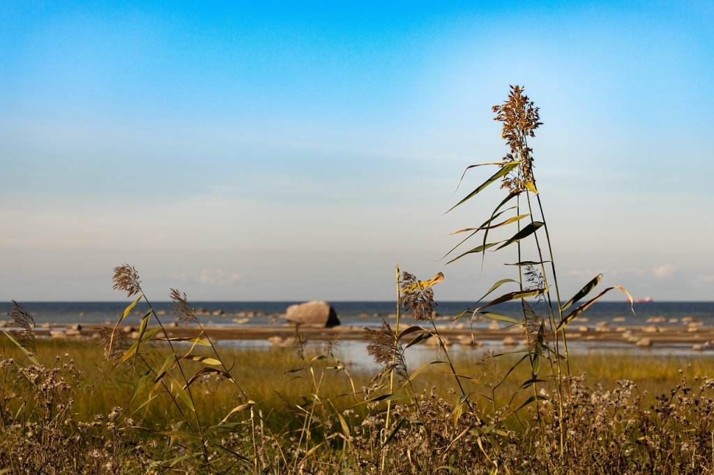 rannaäär